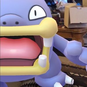 Meet your Posher, Holly